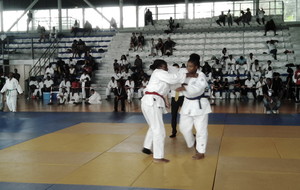 Championnats de la Guadeloupe